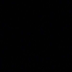 Meet your Posher, Max